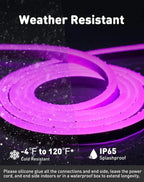 Purple LED Neon Rope Light – Dotless, Dimmable, IP65, ETL Listed