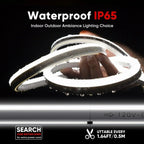 120V LED Neon Rope Light, 6500K Cool White, IP65, Cuttable & Dimmable