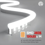 120V LED Neon Rope Light, 6500K Cool White, IP65, Cuttable & Dimmable