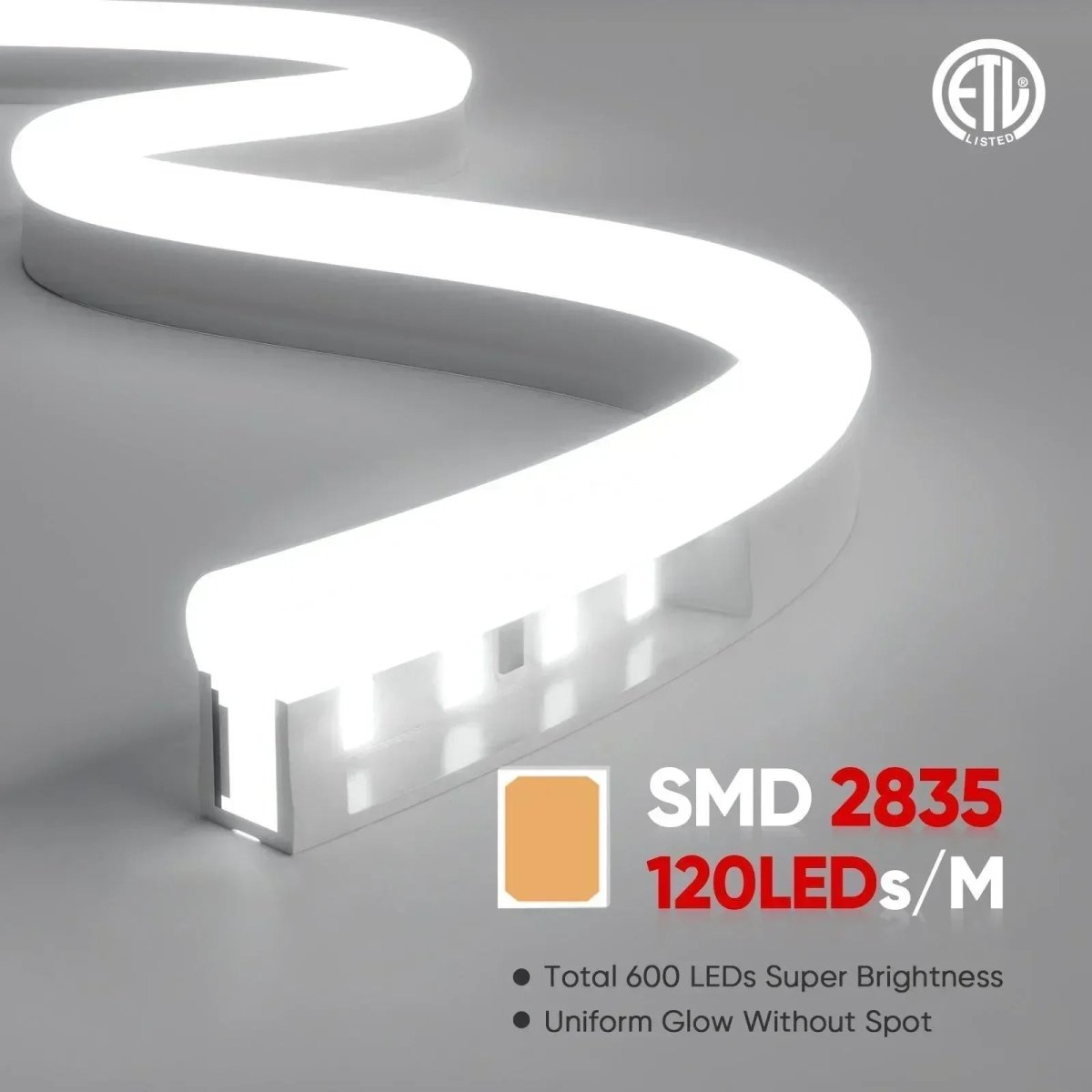 120V LED Neon Rope Light, 6500K Cool White, IP65, Cuttable & Dimmable