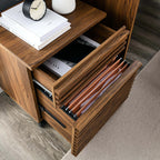 Render Walnut Wood File Cabinet image 7