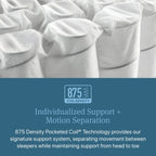 Beautyrest® | Signature Series | Level One & Level Two Models | 875 Density Pocketed Coil® | Signature Individualized Support | Motion Separation | Contouring Pressure Relief | CertiPUR-US® Certified | 10-Year Limited Warranty | 100-Night Trial image 6