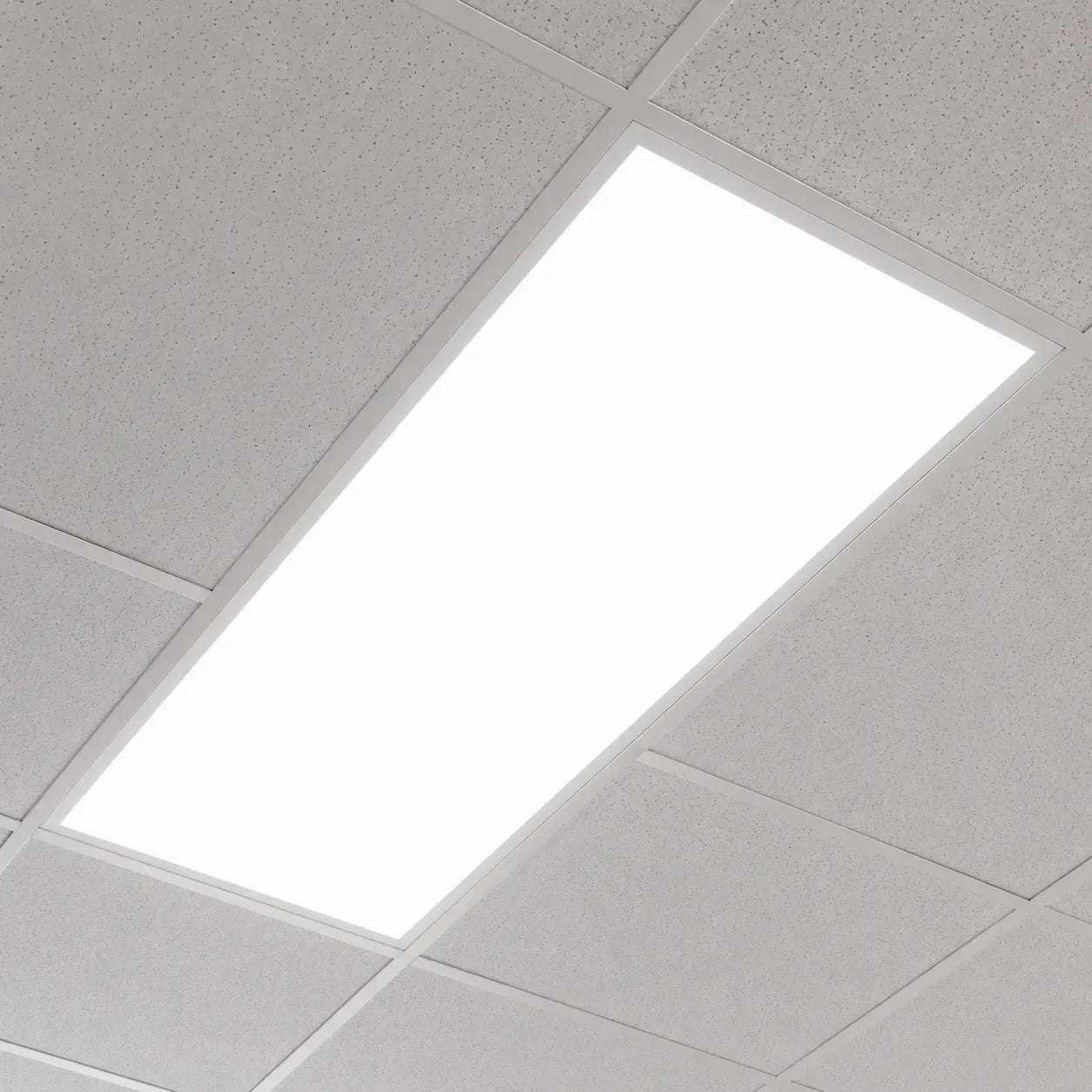 Ceiling with square tiles and a light fixture