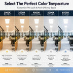 A promotional infographic titled 'Select The Perfect Color Temperature' showing five panels of a modern office interior with different lighting color temperatures: 3000K Warm White, 3500K Warm White, 4000K Soft Neutral White, 5000K Neutral White, and 6500K Cool Daylight. Text below each panel describes the ambiance and suitability for spaces like hospitality, commercial, and office environments.
