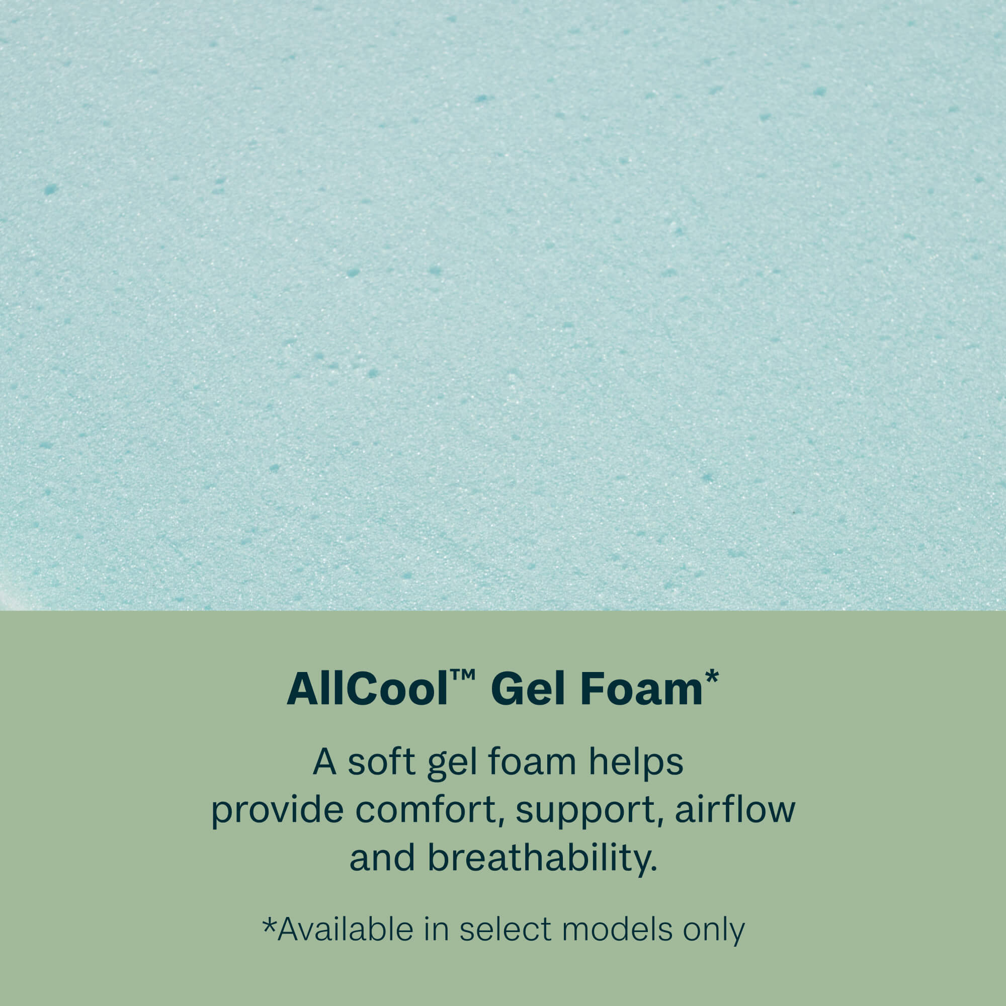 Beauty Sleep Dream Weaver 12.5" Hybrid Plush Mattress | Beautyrest® Pocketed Coil® Technology | AllCool™ Gel Memory Foam | Contouring Pressure Relief | CertiPUR-US® Certified | 10-Year Limited Warranty | 100-Night Trial image 4