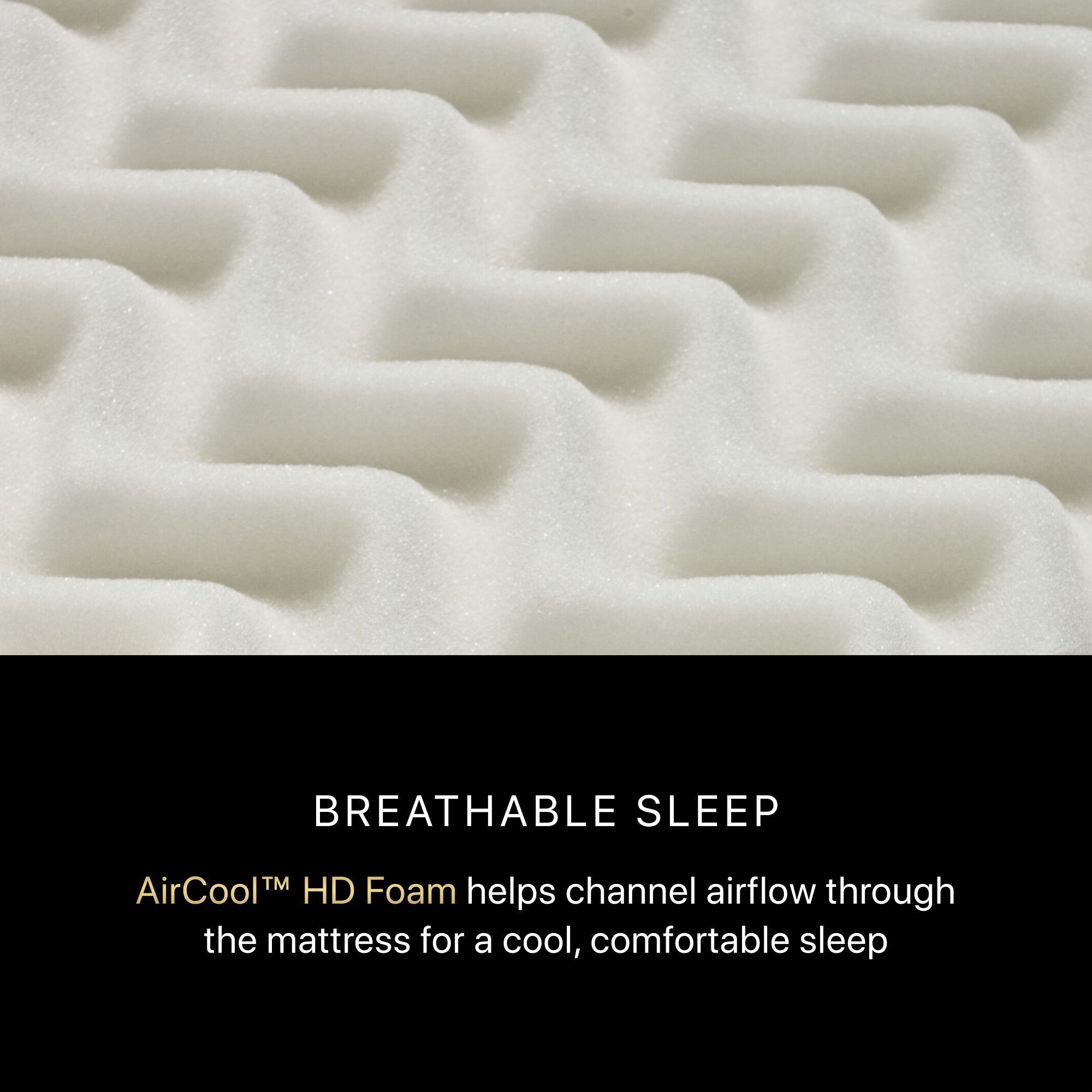 Beautyrest® Black Mattress | Black Series | Triple-Stranded Pocketed Coil® Technology | Maximum Individualized Support | Ultimate Motion Separation | Beautyrest® Gel Memory Foam | CertiPUR-US® Certified | 10-Year Limited Warranty | 100-Night Trial image 15