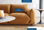Copious Velvet Sofa with Performance Fabric Upholstery image 4