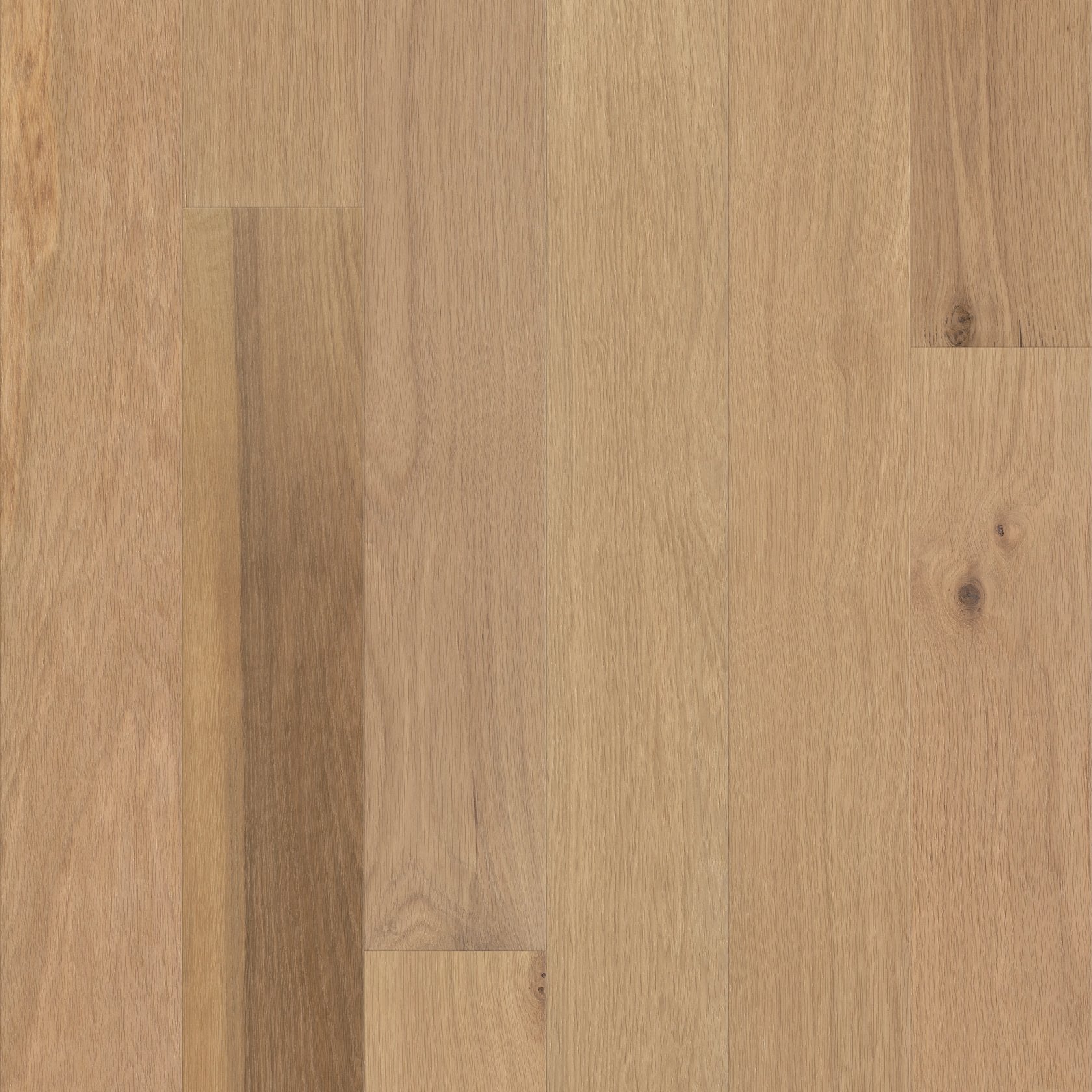 Americana Oak | Repel Collection | Ethos Shade | White Oak | Real Hardwood | Water Resistant | 2 mm Veneer Thickness | 22.14 Sq. Ft. Per Carton | Wire Brushed Texture image 1