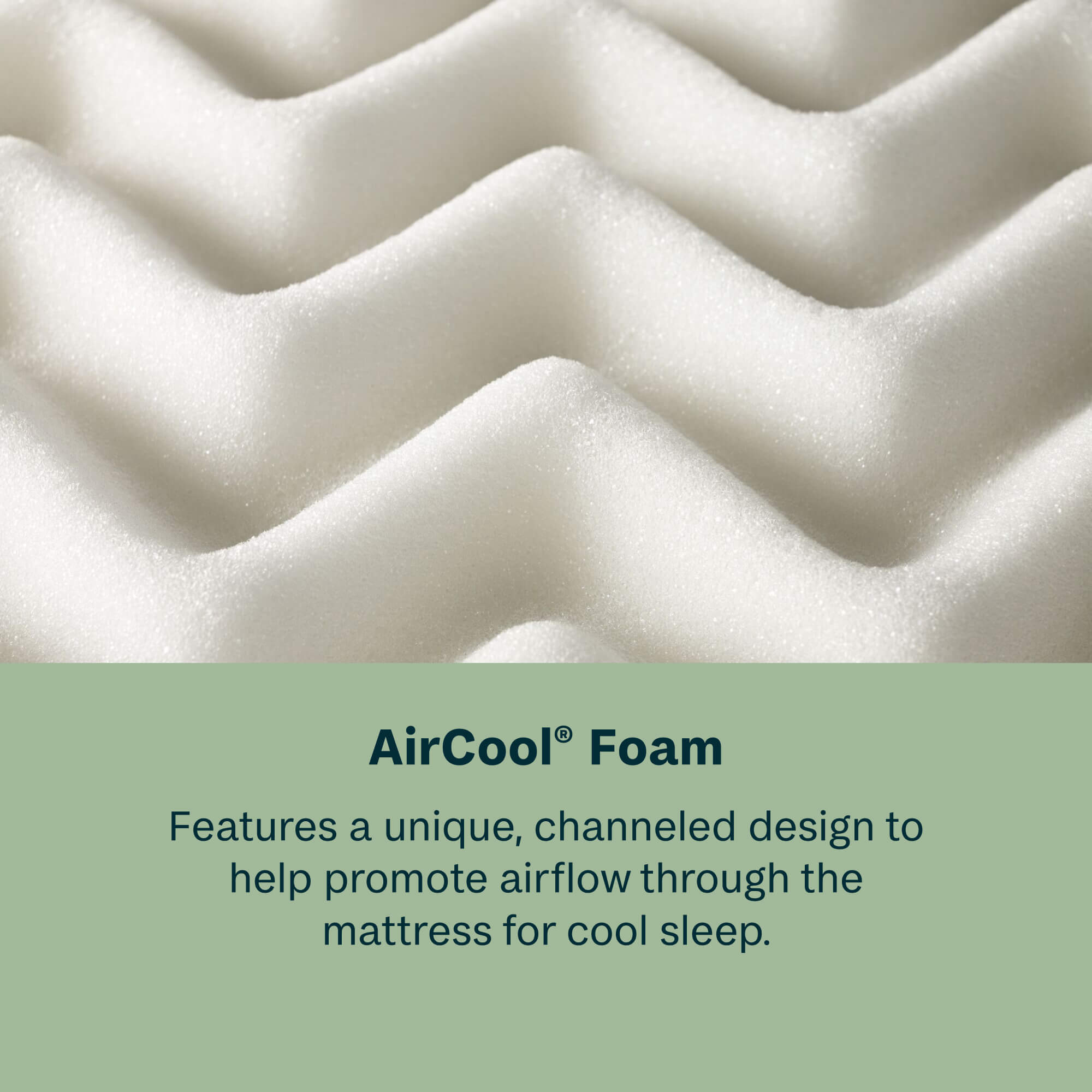 Beauty Sleep Dream Weaver 12.25" Medium Euro Top Mattress | Beautyrest® Pocketed Coil® Technology | AllCool™ Gel Memory Foam | Contouring Pressure Relief | CertiPUR-US® Certified | 10-Year Limited Warranty | 100-Night Trial image 4