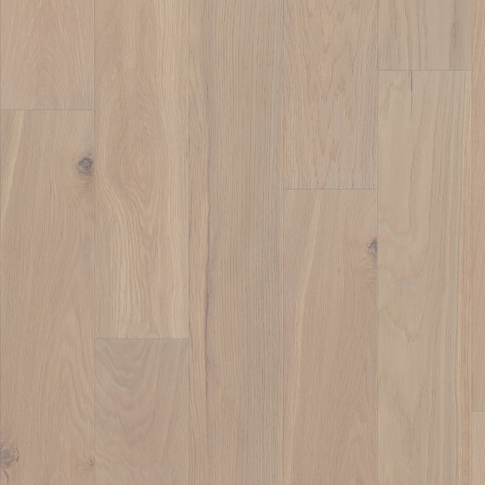 Americana Oak | Repel Collection | Tradition Shade | White Oak | Real Hardwood | Water Resistant | 2 mm Veneer Thickness | 22.14 Sq. Ft. Per Carton | Wire Brushed Texture image 1