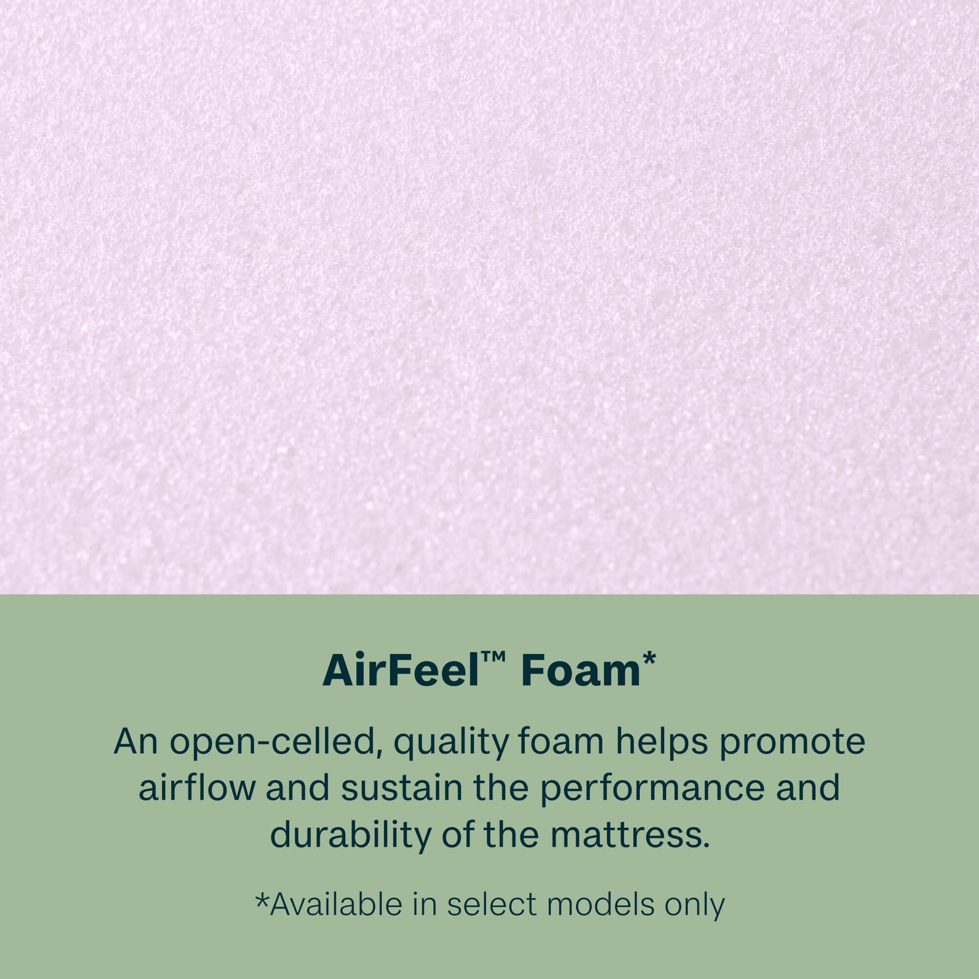 Beauty Sleep Dream Weaver 12.25" Medium Euro Top Mattress | Beautyrest® Pocketed Coil® Technology | AllCool™ Gel Memory Foam | Contouring Pressure Relief | CertiPUR-US® Certified | 10-Year Limited Warranty | 100-Night Trial image 5