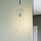 Skylark Pendant Light | Clear Polished Nickel And Clear Black Color Options | Ideal For Living Room, Bedroom, Kitchen, Dining Area, Bathroom, Or Office  | Pack Of 4 image 0