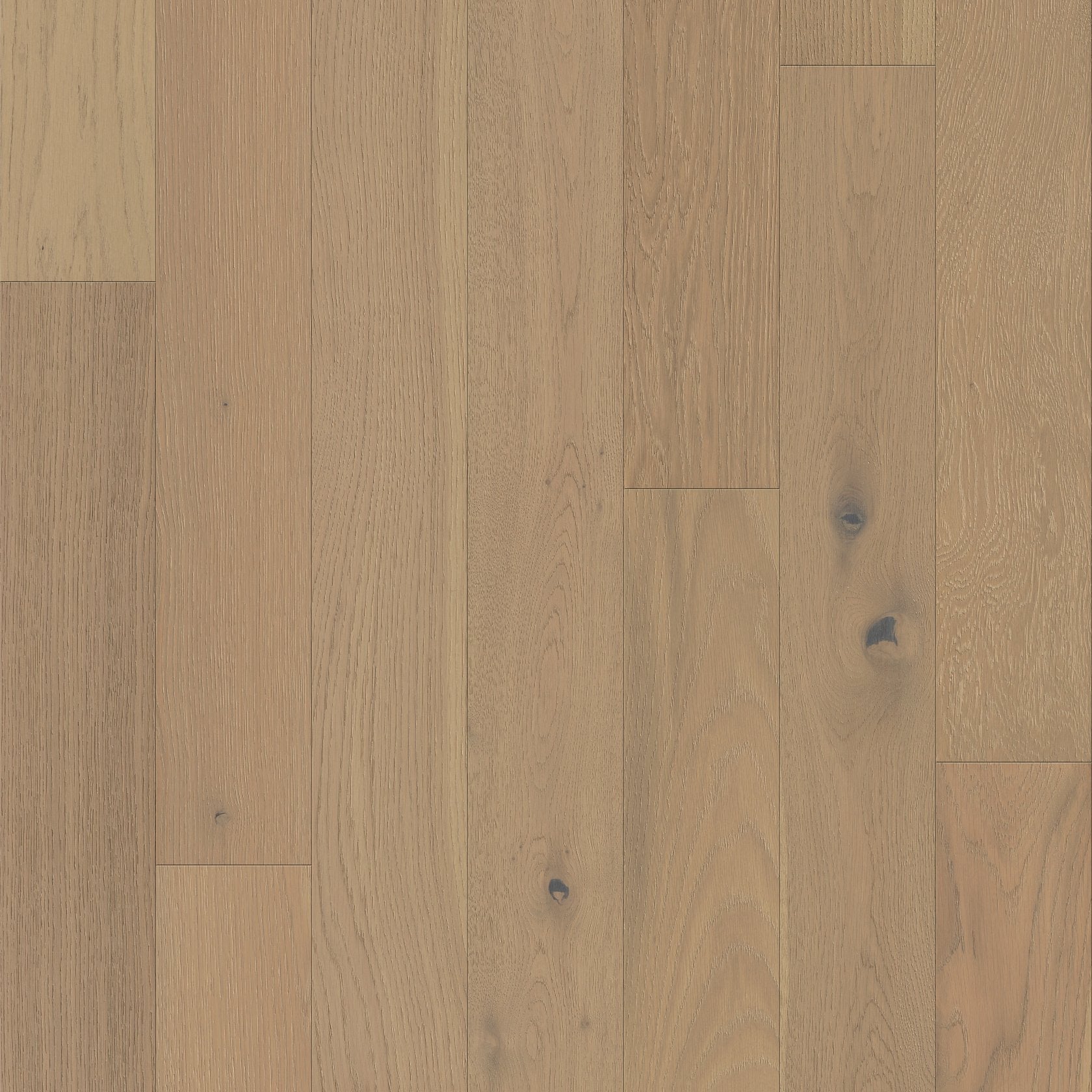 Empire Oak Plank | The Gallery Collection | Vanderbilt Shade | White Oak | Real Hardwood | 1.2 mm Veneer Thickness | 29.53 Sq. Ft. Per Carton | Wire Brushed Texture image 2