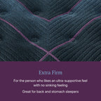 Beautyrest® Hybrid Mattress | World Class Series | 1000 Density Pocketed Coil® Technology | Premier Individualized Support | Motion Separation | Responsive Pressure Relief | CertiPUR-US® Certified | 10-Year Limited Warranty | 100-Night Trial image 9