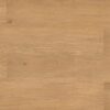 SPC Flooring